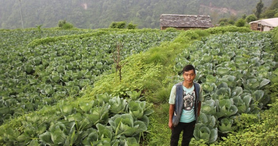 फेसबुकबाटै तरकारी बेच्ने दलवीर पुन